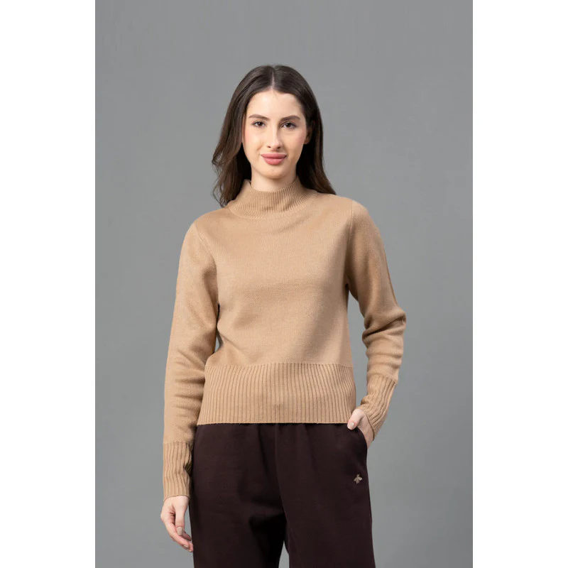 Women Beige Solid Sweater