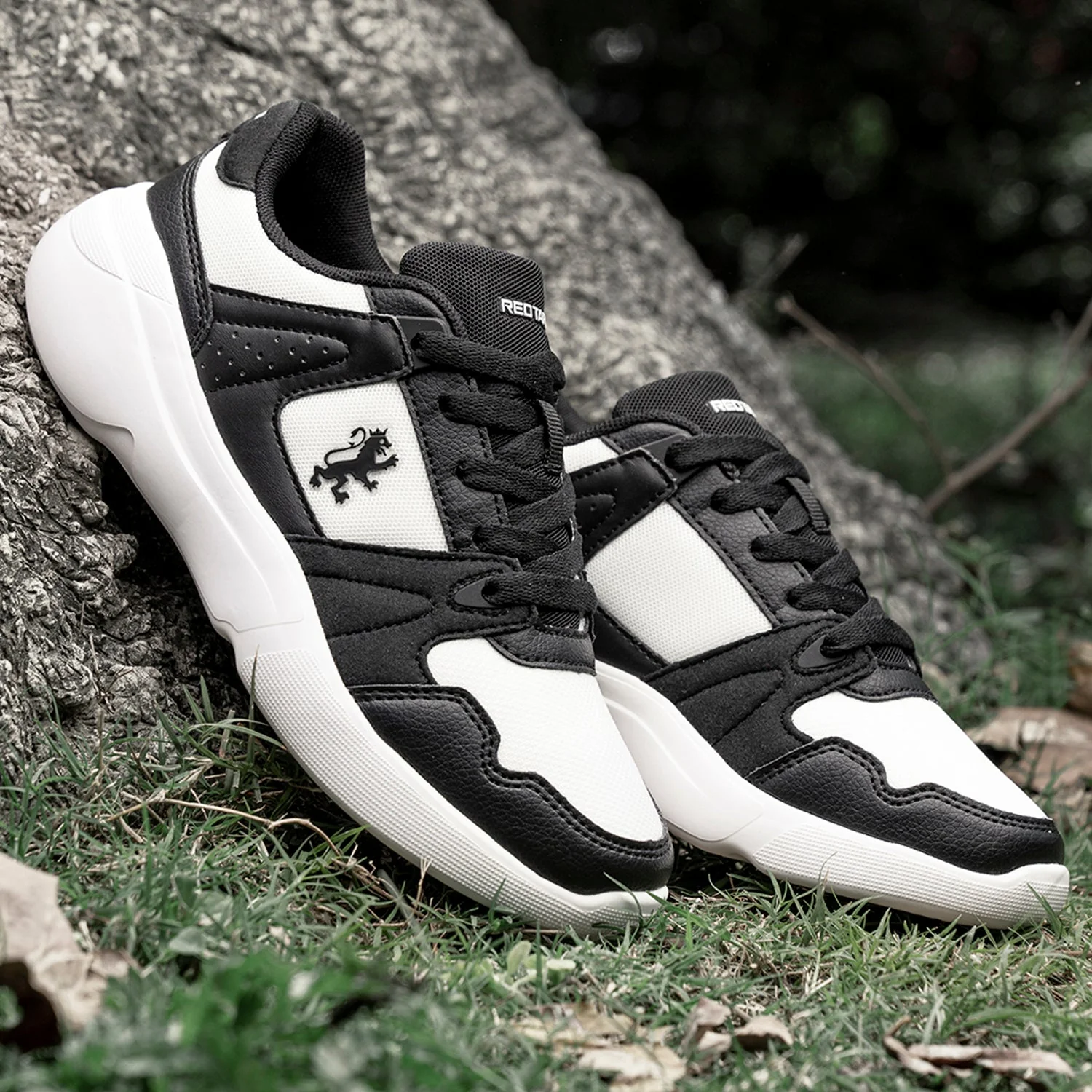 Casual Sneaker Shoes for Women