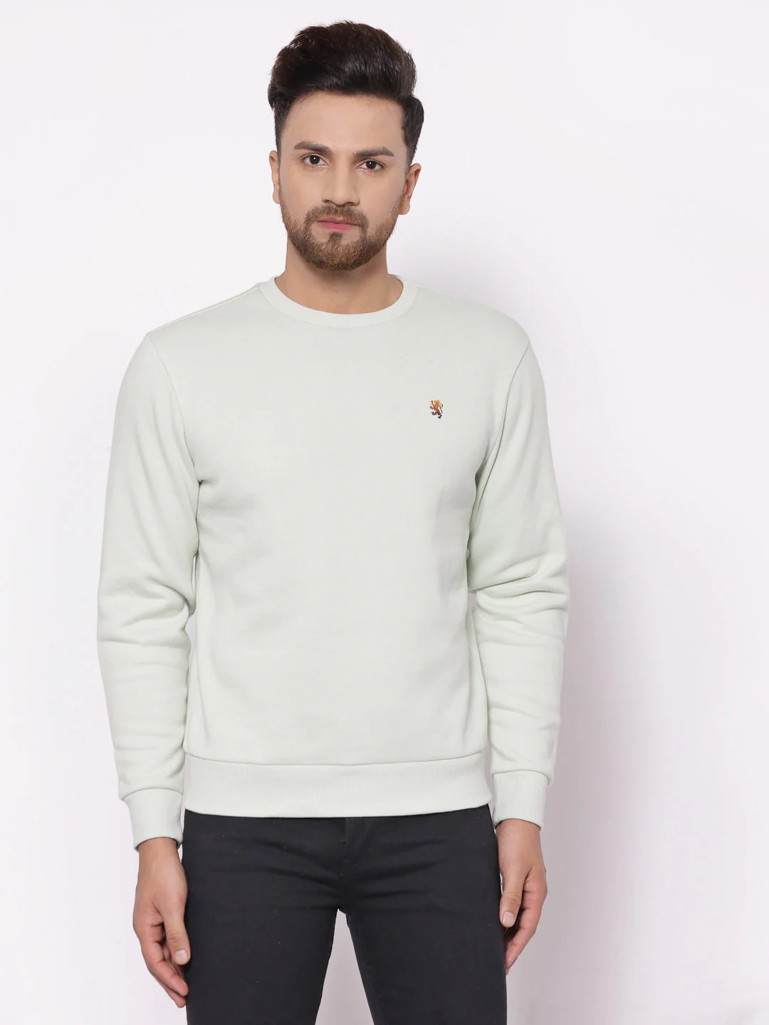 Men's Solid Mint Green Sweatshirt