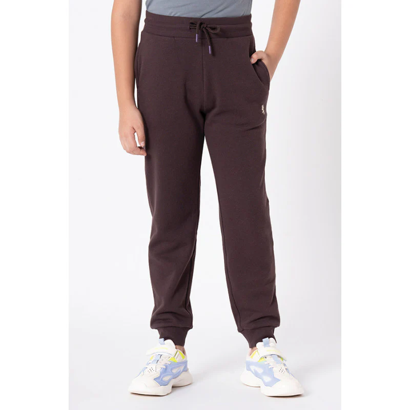 Boy's Brown Solid Jogger