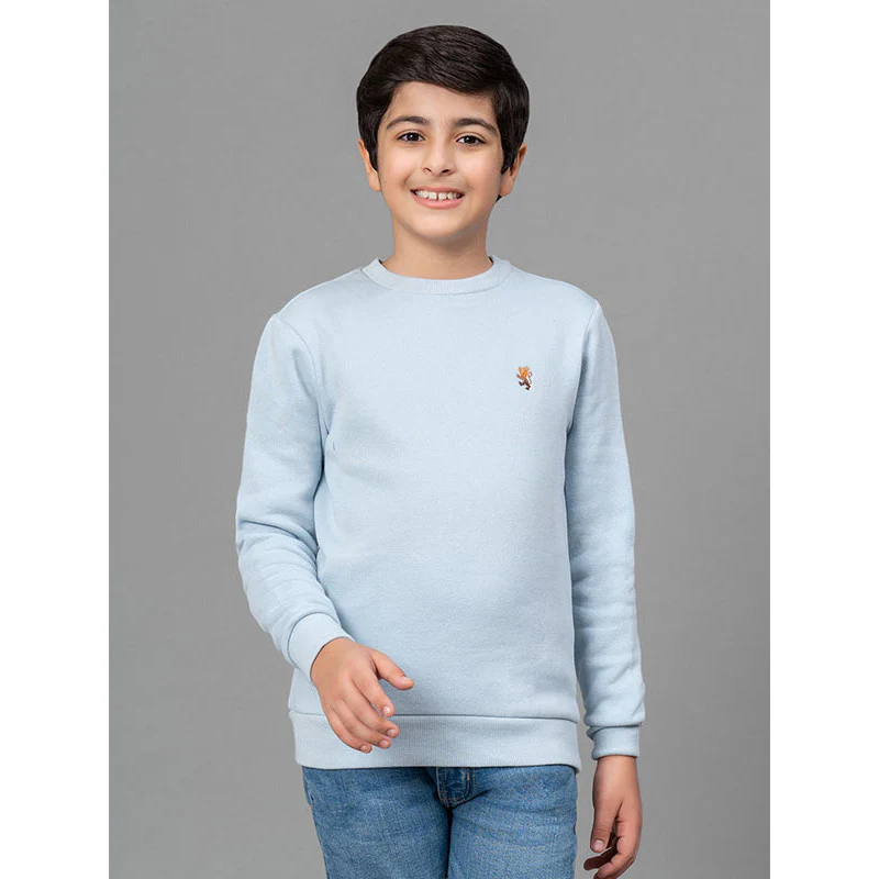 Light Blue Sweatshirt for Boy