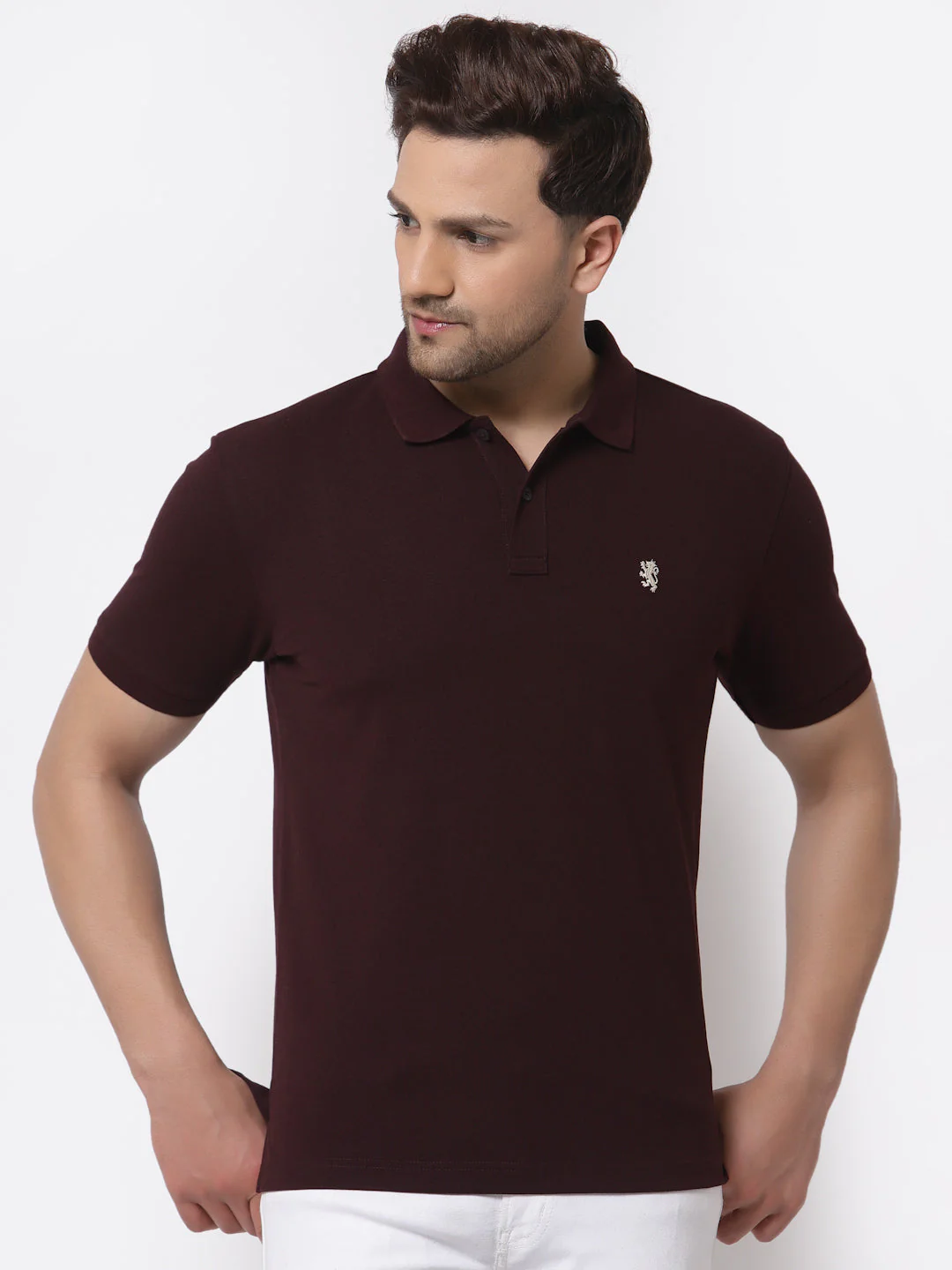 Regular Fit Polo T-Shirt for Men
